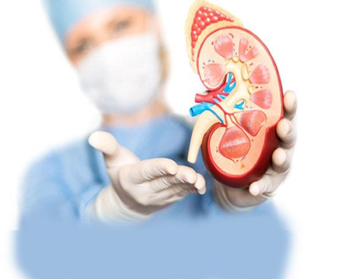 تصویر-عفونت-های-ادراری-8212