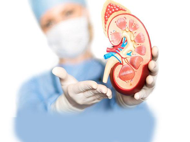 تصویر-عفونت-های-ادراری-8212