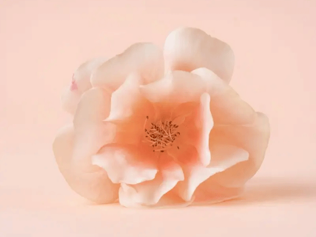 تصویر-مشاوره-عمل-جراحی-تنگ-کردن-واژن-8788