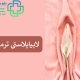 لابیاپلاستی ترمیمی