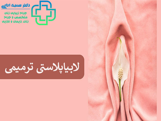 لابیاپلاستی ترمیمی